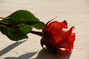 Czy raport komisji 22. lipca da odpowiedzi na pytania, które stawia społeczeństwo?