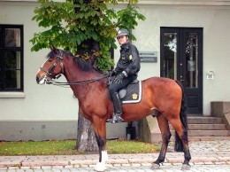Policja chce wykorzystywać informacje dodatkowe z przesłuchań