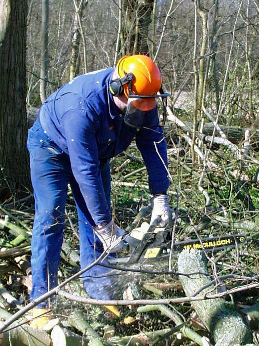 skovarbejder.jpg skovarbejder.jpg