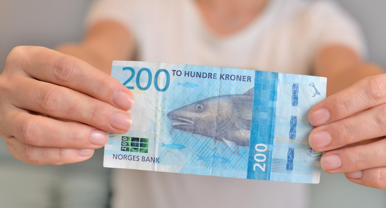 „Dostali wszystko, tylko nie rozsądnych polityków”. Szwedzi śmieją się z kursu korony norweskiej