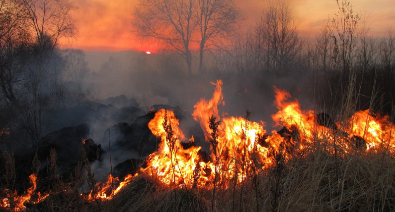 Taka pogoda to w styczniu rzadkość. Norwegia zagrożona pożarami