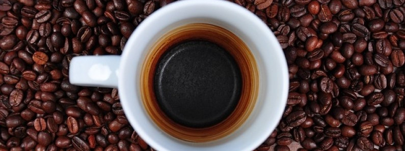 Kawa – norweska ambrozja