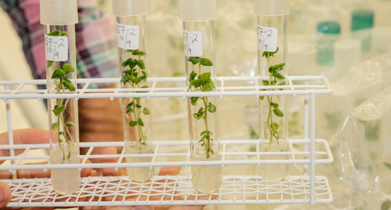  W Norwegii rusza wyjątkowy projekt. Ma zabezpieczyć przyszłość norweskiej żywności