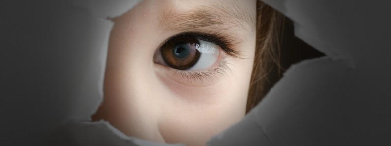 Dziękujemy Barnevernet za uratowanie nam życia