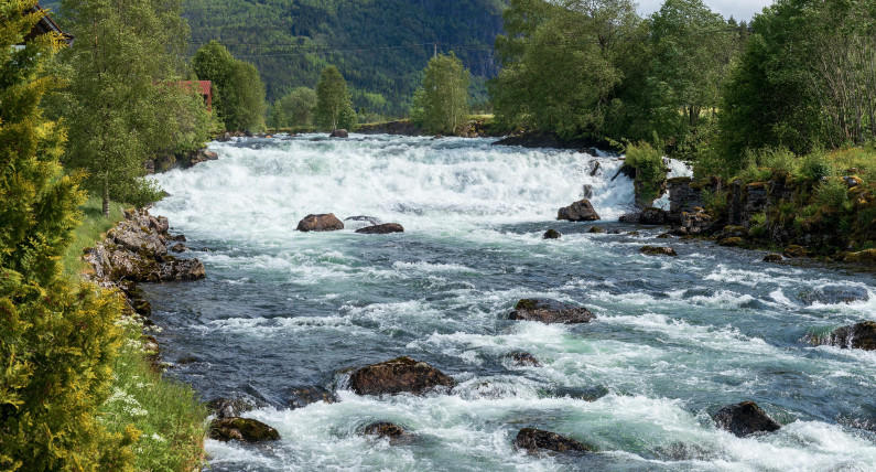 Wzrost liczby łososi w Norwegii zaskakuje. Trwa ostry spór o prawdziwe przyczyny