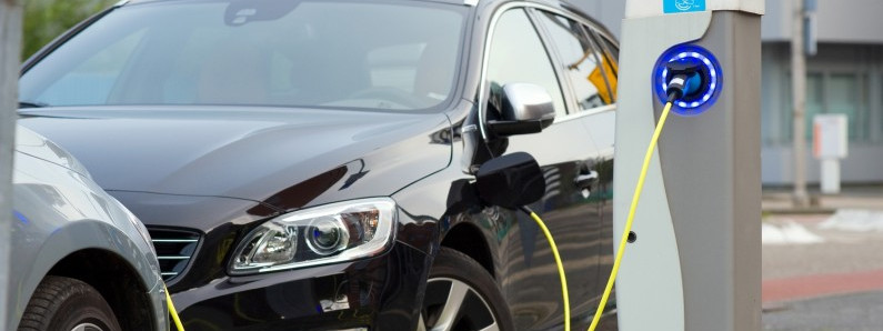 Oslo coraz bardziej zielone