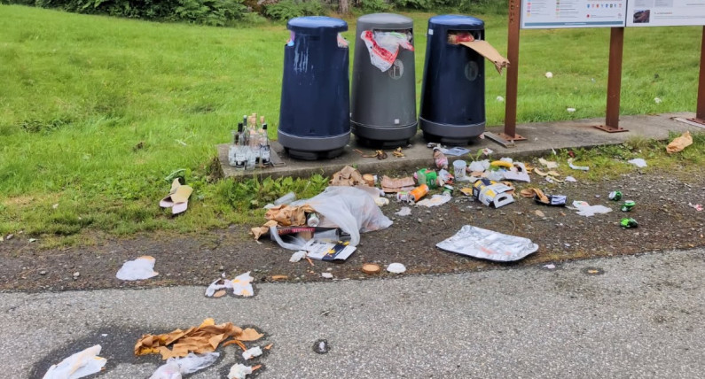 Norweskie miejsce wstydu: podrzucają śmieci, wypróżniają się w krzakach