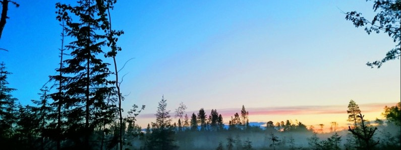 Midsommer natt, czyli najważniejsze święto sąsiadów Norwegii