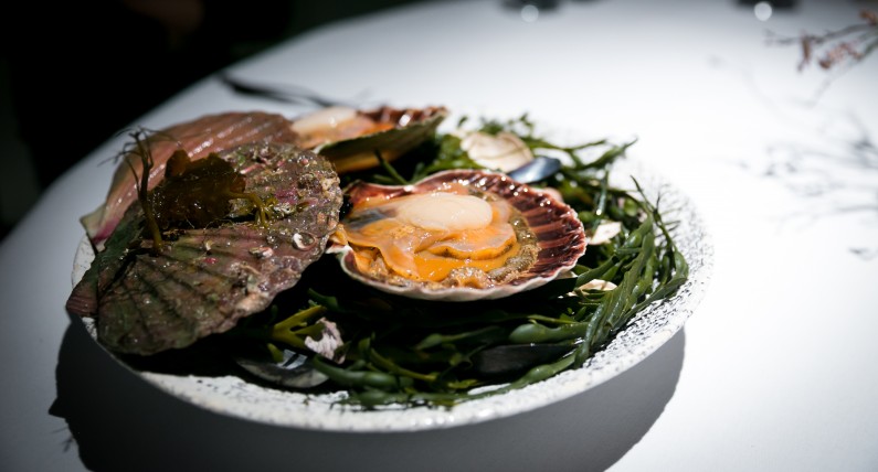 Zamiast cytryny dodają… mrówki. Ta restauracja stawia na oryginalność