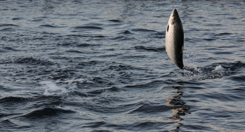 Tak źle jeszcze nie było. W 25 lat dziesięciokrotny spadek