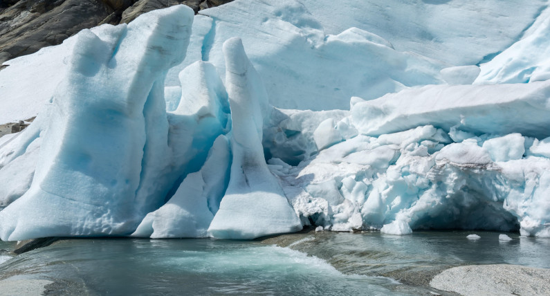 Sensacyjne znalezisko w Norwegii. "To nie powinno przetrwać"