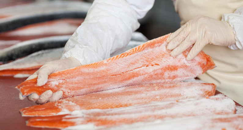 Co dalej z norweskim łososiem? Urzędnicy chcą rewolucji w przepisach