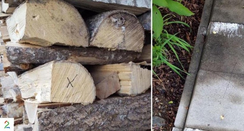 Ktoś narysował na twoim domu miniaturowe symbole? Policja radzi: miej oczy szeroko otwarte