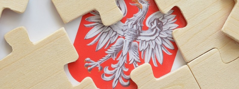Z odsieczą polskiej mowie