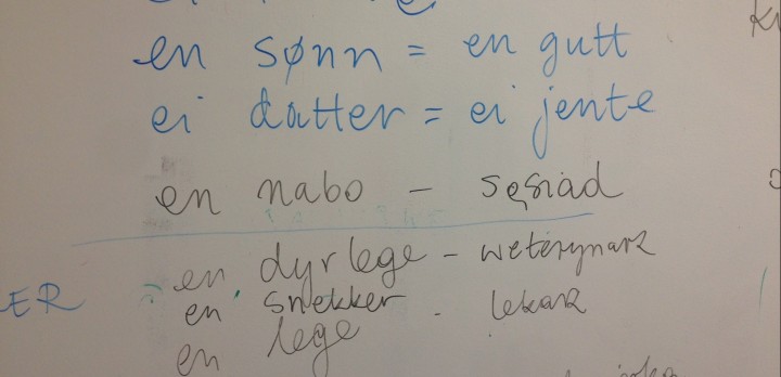 Czy warto szukać w Norwegii pracy nie znając norweskiego?