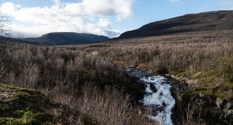 Norwegia jeszcze nigdy nie była tak gorąca: kolejny rekord ciepła