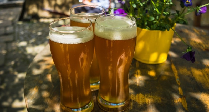 Browar z nutą… mięsa z renifera. Tak będzie smakować pierwsze polsko-samskie piwo