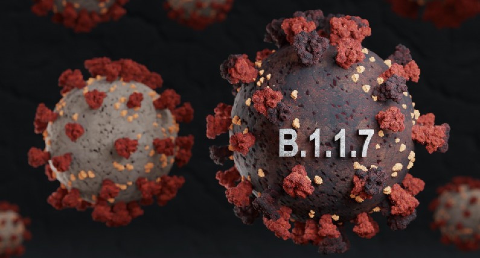 Brytyjska mutacja koronawirusa nie powoduje cięższej infekcji. Szczepionki na nią zadziałają