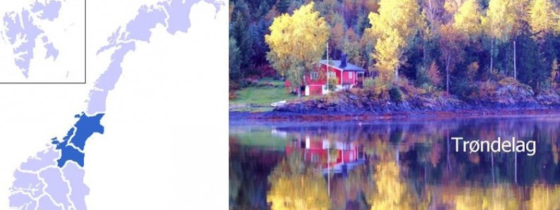 Wieś 2.0: wioska przyszłości ma przyciągnąć specjalistów