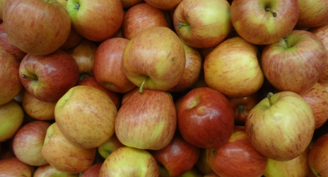 Wpadka norweskiego dystrybutora owoców. Promował rodzimą żywność… polskimi jabłkami