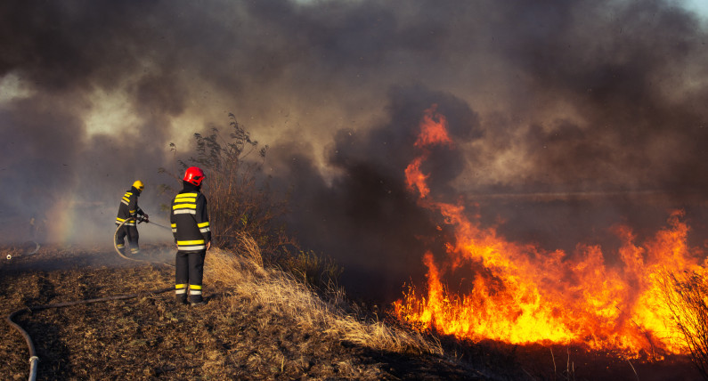 Wielkie pożary ogarną Norwegię? Meteorolodzy mówią o ekstremalnym zagrożeniu