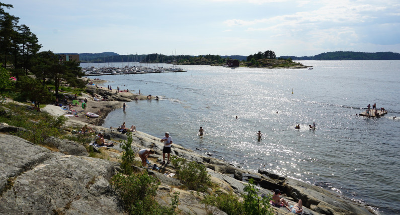 Norwegia uruchamia plan, który ma odwrócić katastrofę. Zanieczyszczenia rosną, ryby są zagrożone