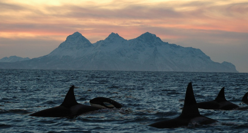 Rekordowe dane z morza. 2025 rok przeszedł do historii