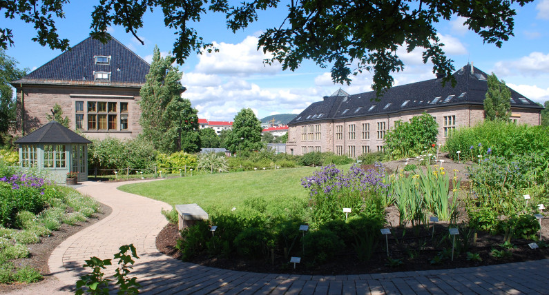 Mają zakaz, bo sikały na zagrożone rośliny. Z psem nie wejdziecie już do Ogrodu Botanicznego w Oslo