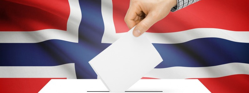 Referendum pod lupą