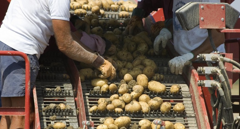 Więcej ulg dla zagranicznej siły roboczej. ...