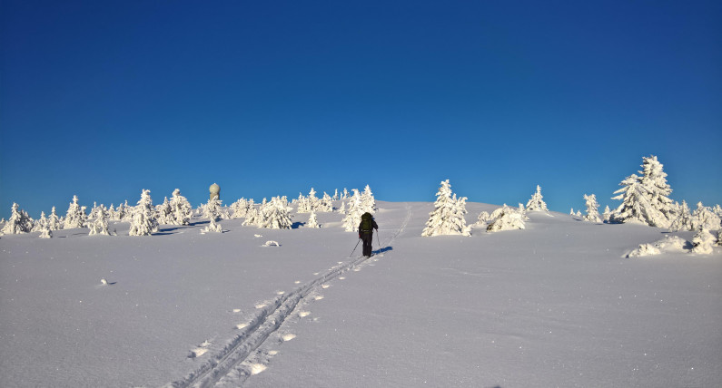 Nawet 20 stopni różnicy. Tak będzie wyglądał koniec roku w Norwegii