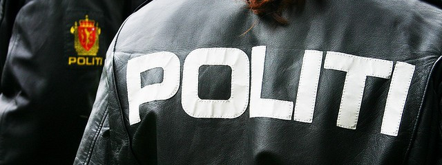 Polacy złapani w Szwecji