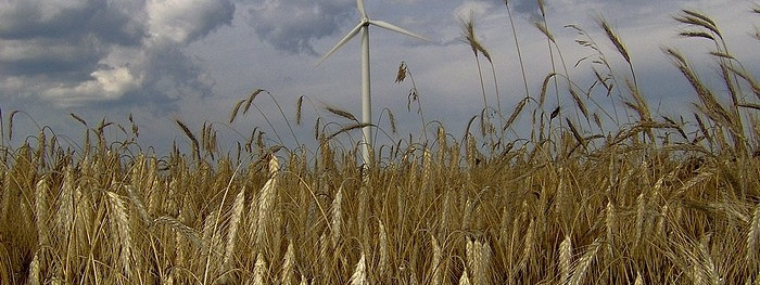 Kryzys żywnościowy może objąć Norwegię