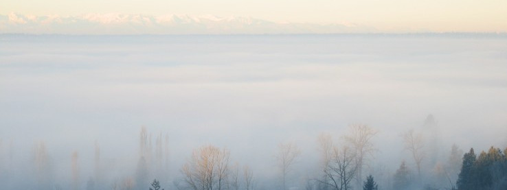 Niespodziewana mgła nad Bergen