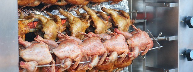 Połowa norweskich kurcząt jest zakażona niebezpieczną bakterią
