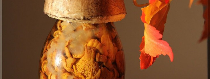 Grzyby w naszej spiżarni