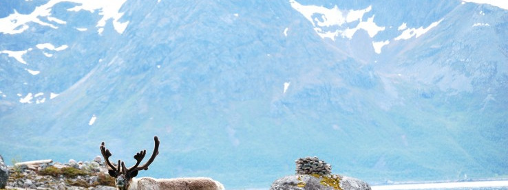 Plebiscyt na zdjęcia do kalendarza Mojej Norwegii na 2015 rok!