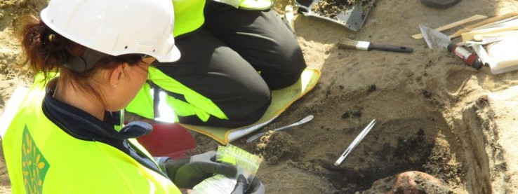 Szkielety w centrum miasta