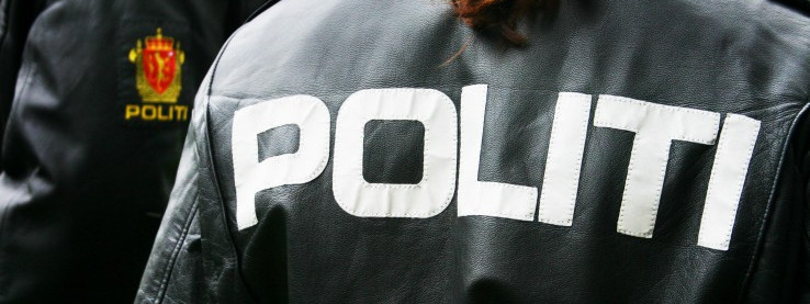 Akcja policji przeciwko polskim przemytnikom