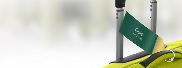 Imigracja w 2014 roku – Polacy górą