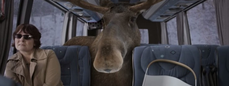 Kampania społeczna w norweskim stylu