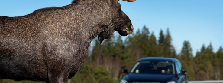 Jak ubezpieczyć samochód w Norwegii?