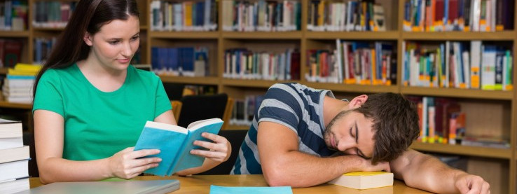 Prywatne szkoły zbierają plon