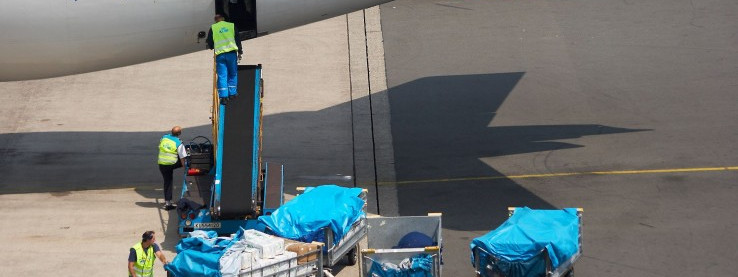 Mądry Polak po szkodzie