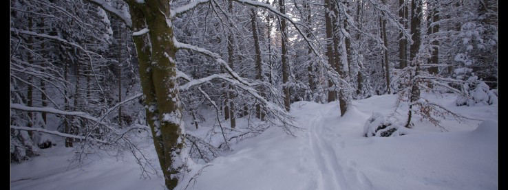 Pięć powodów, dla których zima w Norwegii zachwyca