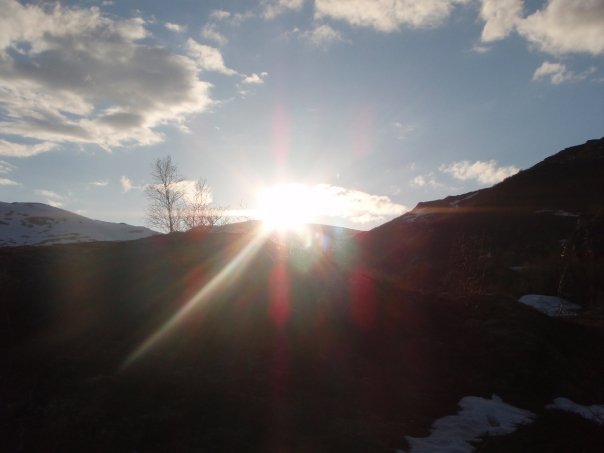 ’’ Wracać ale dokad?