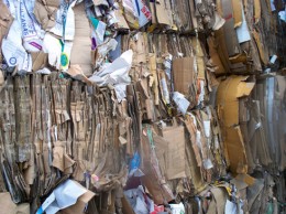 NORWEGOM BRAKUJE …....ŚMIECI