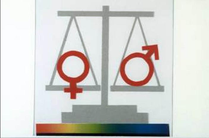 Nowa norweska strona internetowa o równouprawnieniu