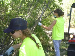 Legalna praca za 30 koron na godzinę