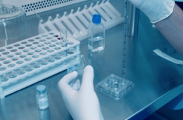 Coraz więcej mężczyzn ma spermę niezdolną do zapłodnienia